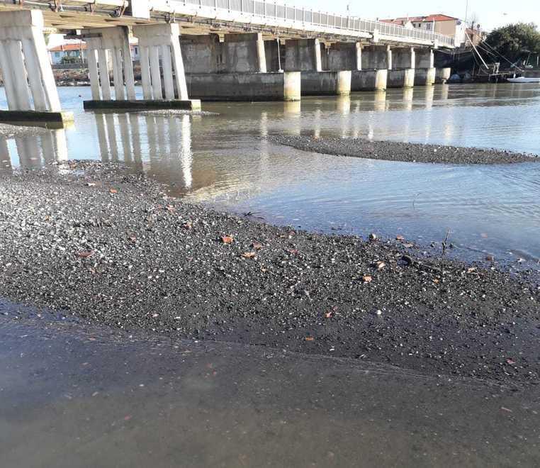Acqua bassa alla foce del fiume Cecina, il circolo nautico: «Qui usare le canoe è impossibile» 