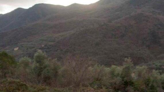 Ottavo posto per Maestrini sulla nuova Ford Fiesta al Ronde della Val Merula