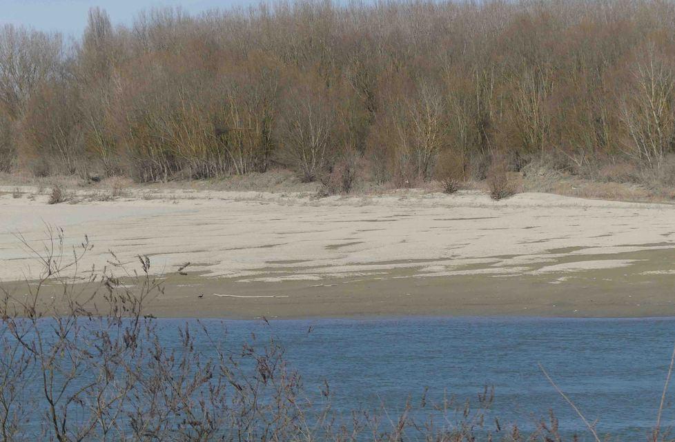 Al Consorzio le prime richieste di irrigazione