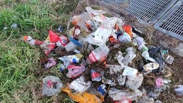 I volontari recuperano la plastica abbandonata