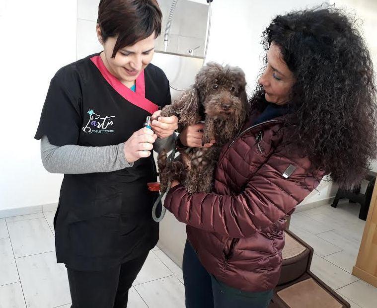 Sonia e la toilette dei cani: la passione è lavoro 
