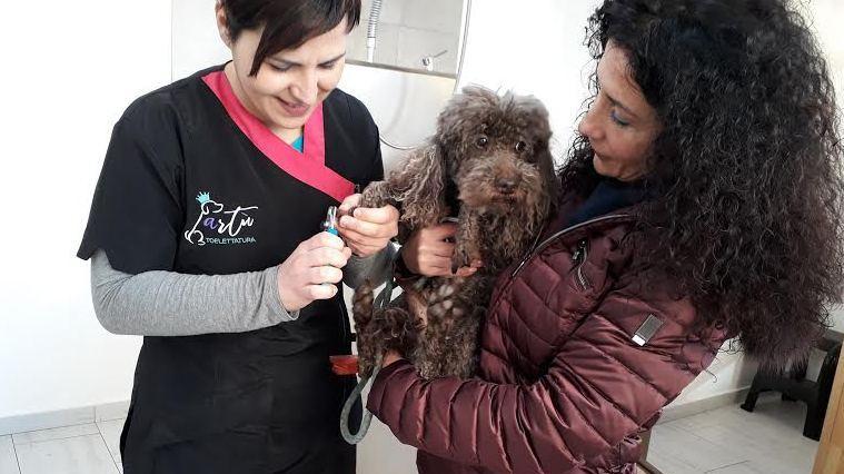 Sonia e la toilette dei cani: la passione è lavoro