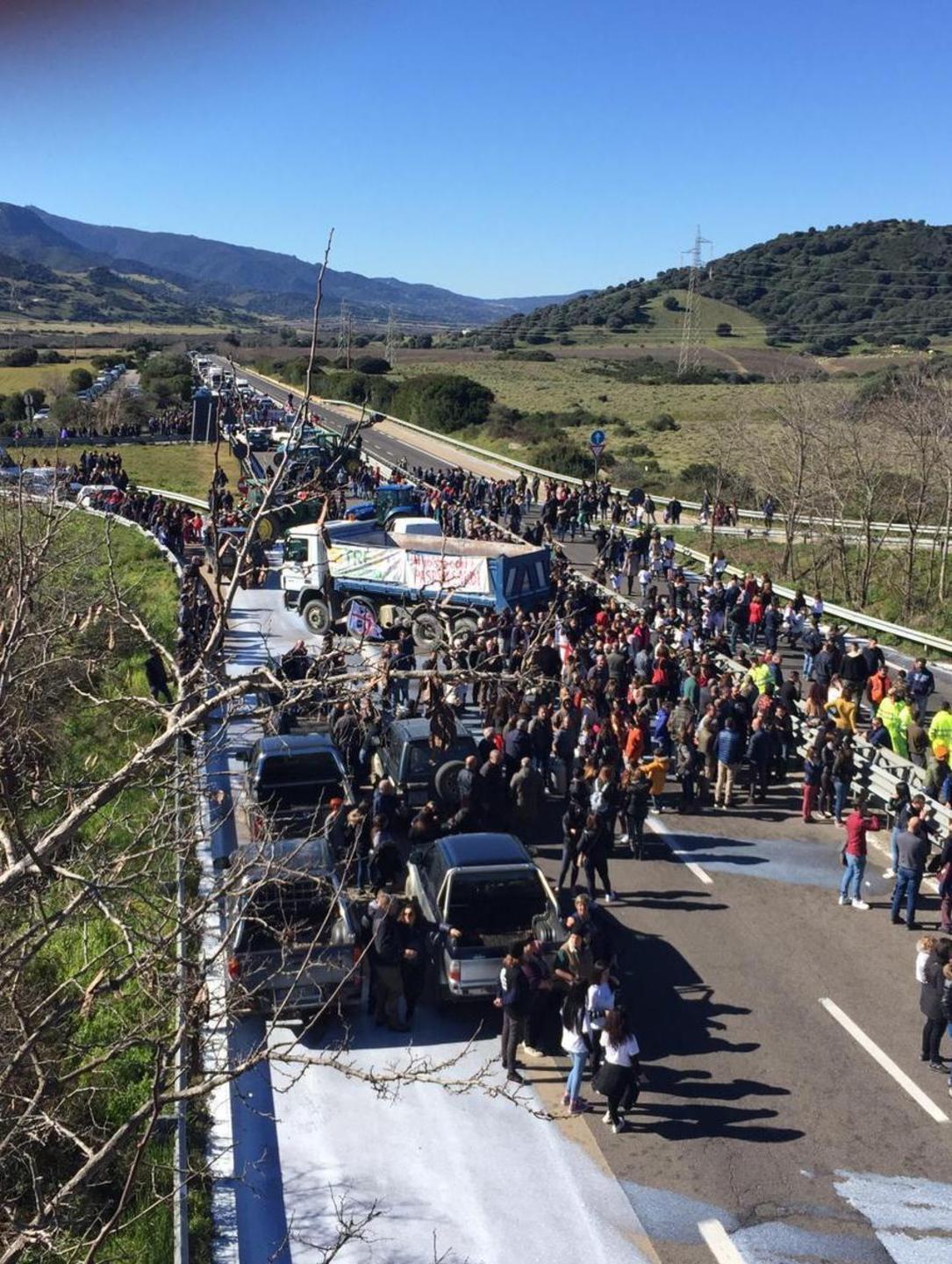 Guerra del latte in tribunale: udienza a maggio per 10 pastori