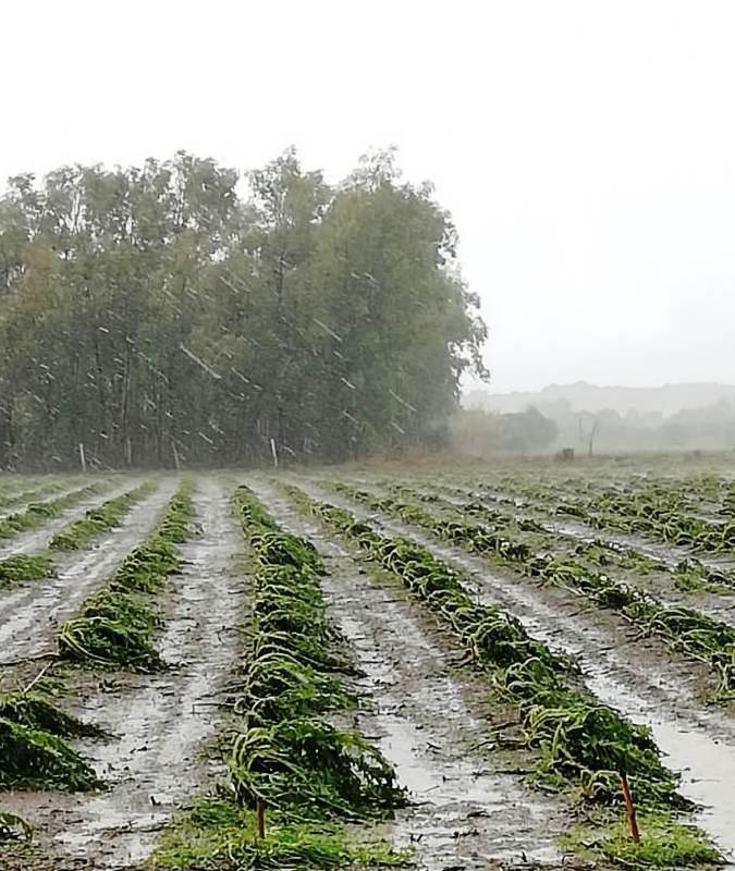 Maltempo e calamità naturali, al via le richieste di risarcimento