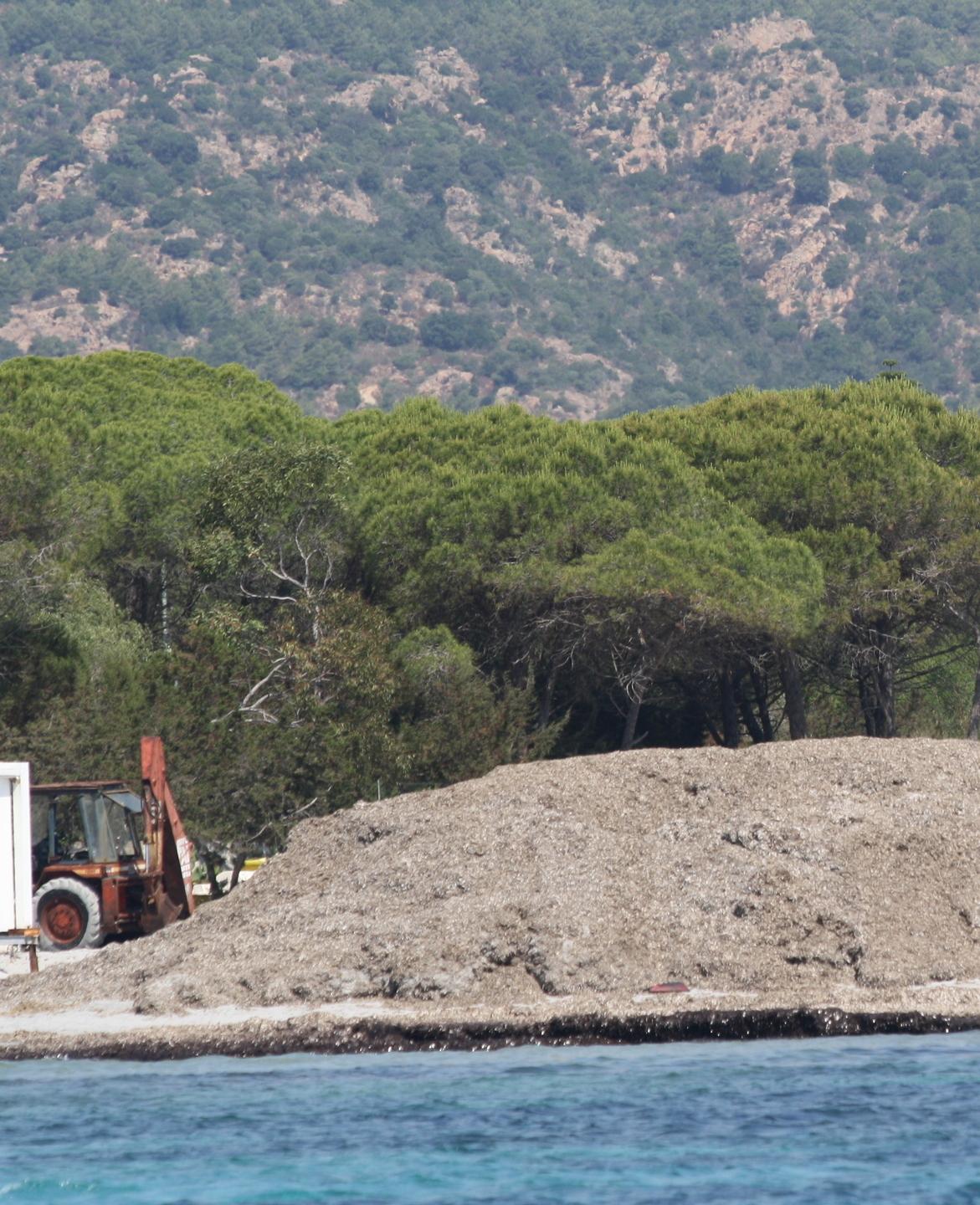 Ok dei sindaci all’estate senza alghe 