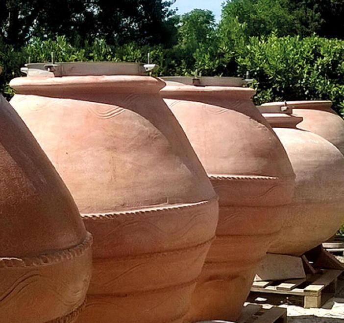 Ecco Nesos, il nettare dell’Elba prodotto come a Chio 2500 anni fa