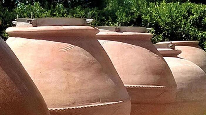 Ecco Nesos, il nettare dell’Elba prodotto come a Chio 2500 anni fa