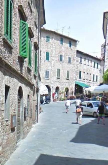 «Piovono piccioni morti ogni giorno a Suvereto e il Comune non fa nulla»
