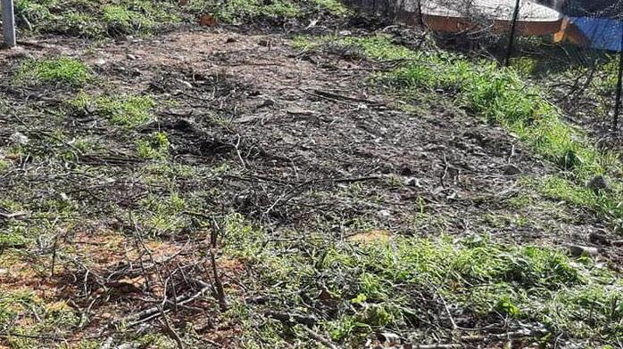 Altri lavori sulla via Pisana: qui si tolgono gli alberi