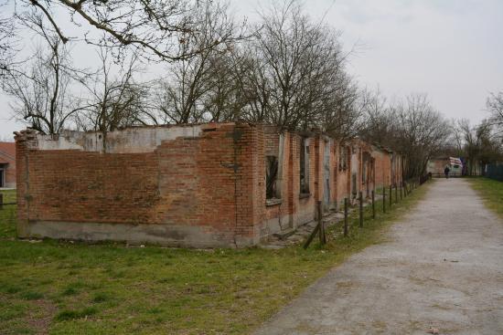 Il campo di Fossoli ci aiuta, e molto, a non dimenticare