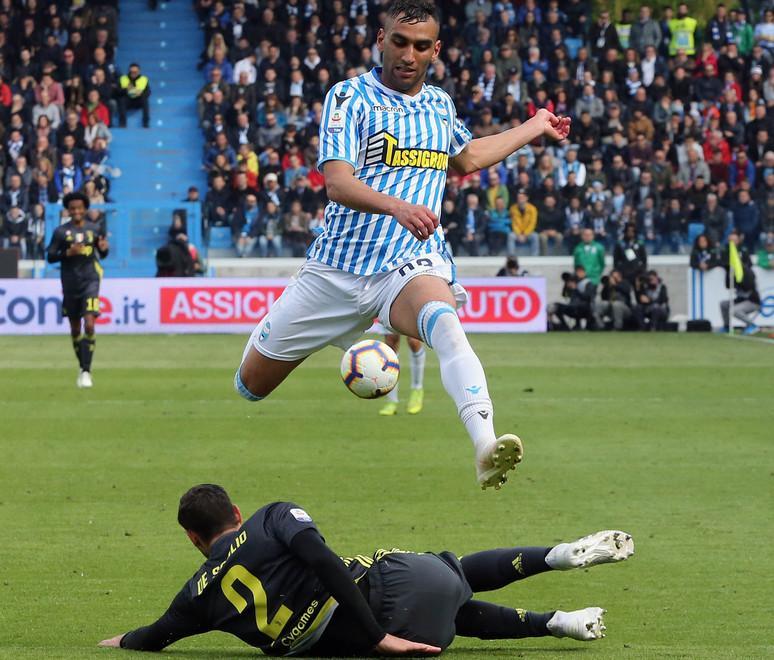 Momo Fares