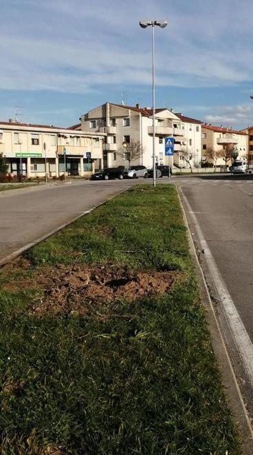 Dodici oleandri per ricordare i Martiri Lunatesi 