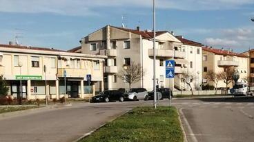 Dodici oleandri per ricordare i Martiri Lunatesi