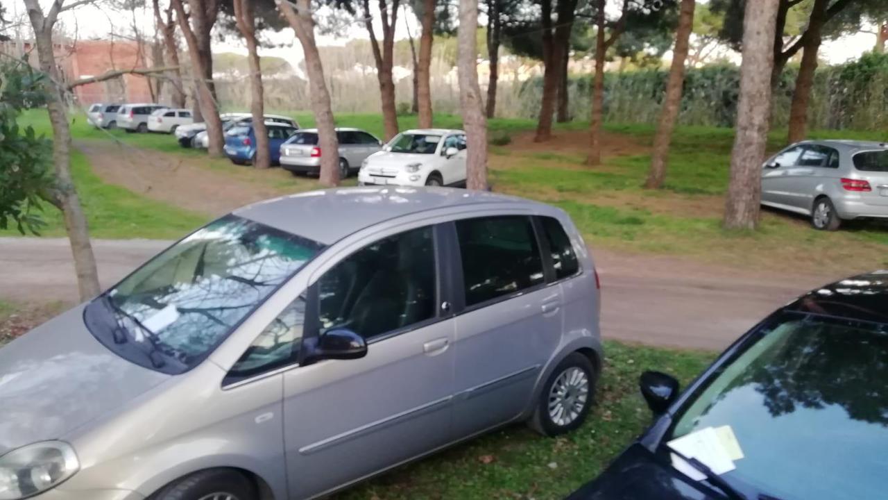 Le auto multate nell'area verde dell'ex Ilva (Foto Paolo Barlettani)