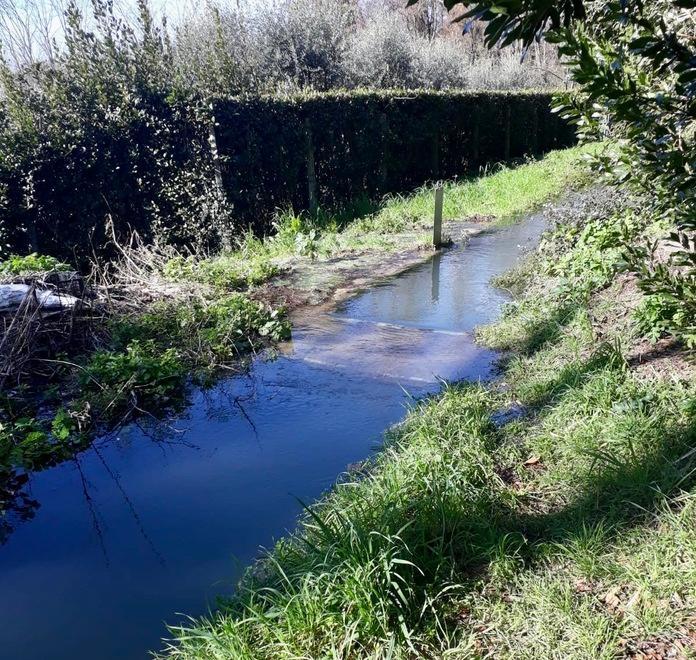 Canale Nuovo ostruito per abbandoni di potature