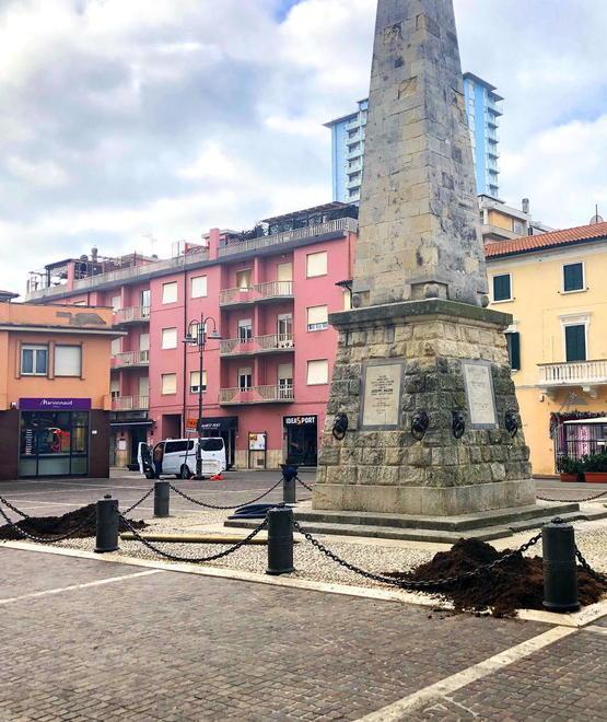 Nuove palme in piazza immuni dal punteruolo 