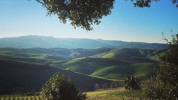 Anche le aziende vitivinicole sono un traino per il turismo