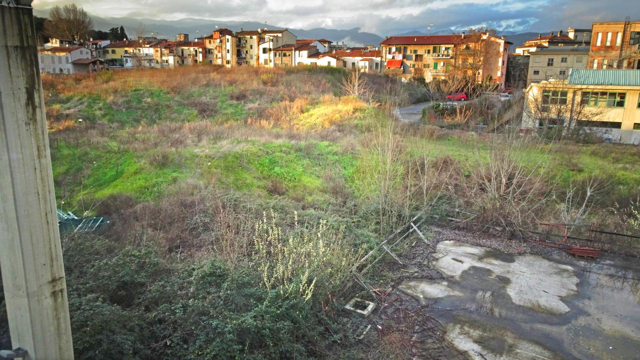 Cumuli di terra ricoperti di vegetazione