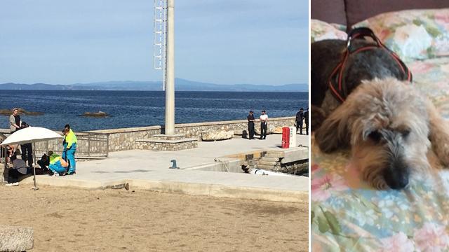 Carabiniere sparò al cane, il giudice: «Lui e la proprietaria devono essere processati»