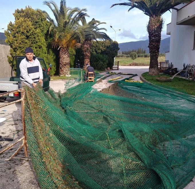 Reti da pesca distrutte dai tronchi finiti in mare 