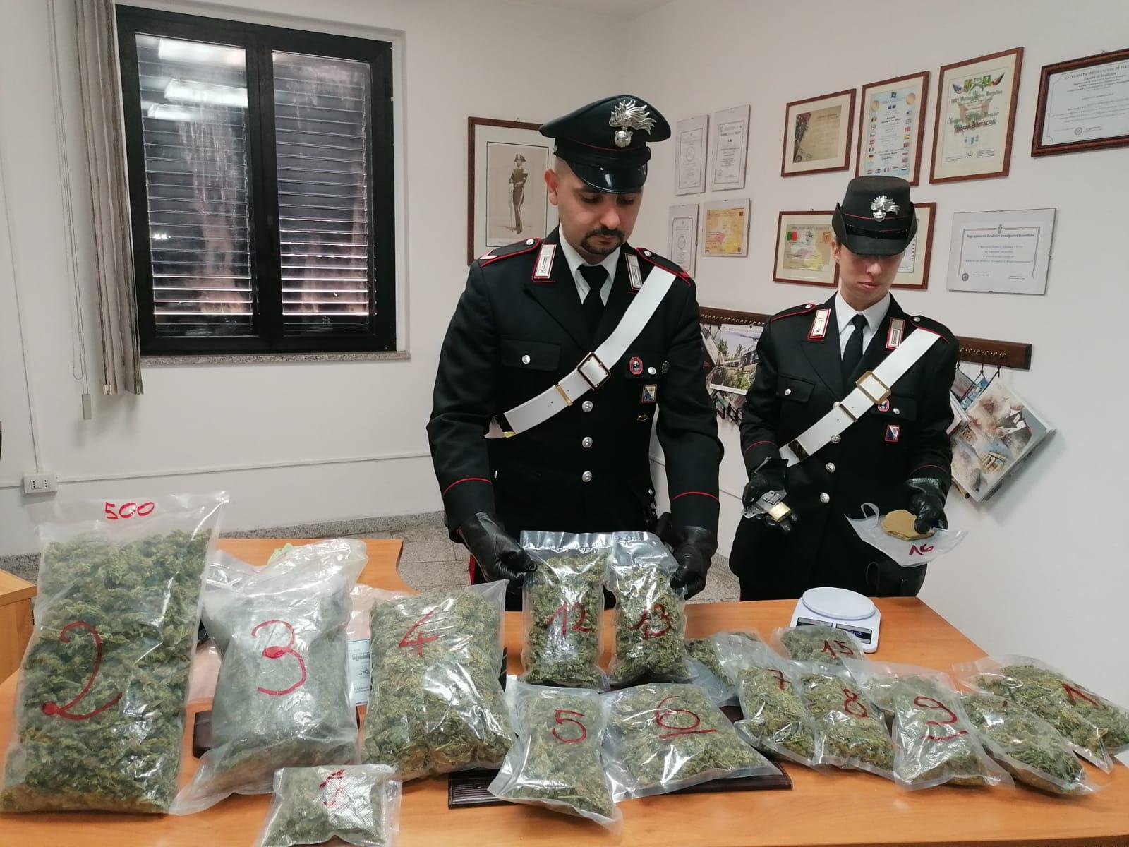 La Maddalena, 3 chili di marijuana nascosti nell'isola ecologica