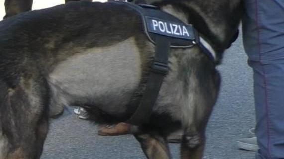 Blitz con unità cinofile Arrestato per spaccio giovane di 18 anni