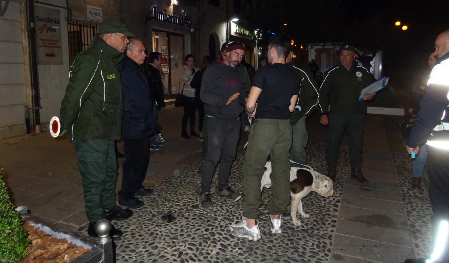 Sassari, i tre pitbull in isolamento: denunciato il proprietario 