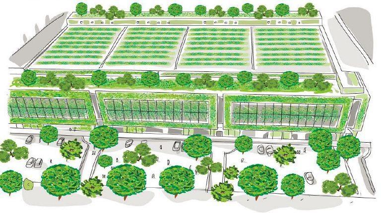 Il progetto Prato Urban Jungle parte ufficialmente venerdì prossimo 28 febbraio dalle 16 alle 19 al Centro per l’Arte Contemporanea Pecci“ con l’evento " Prato Fabbrica Giungle ”