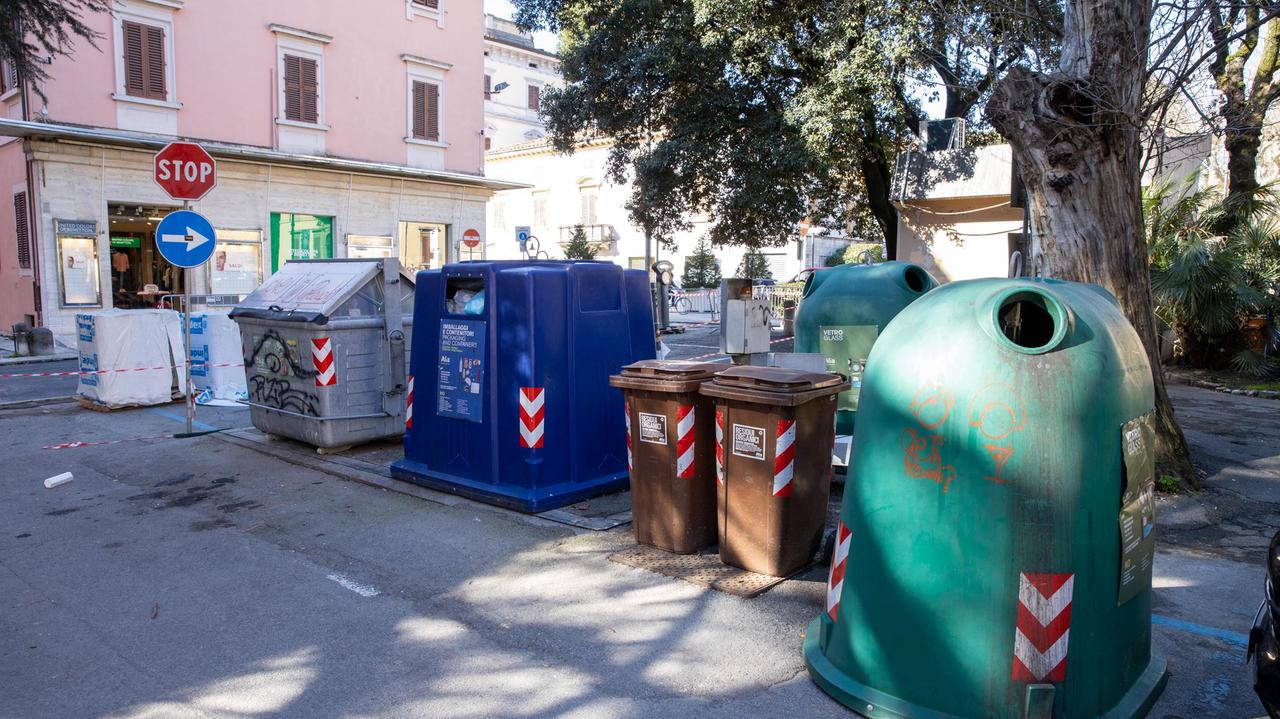 Cassonetti per la raccolta dei rifiuti (Foto Nucci)