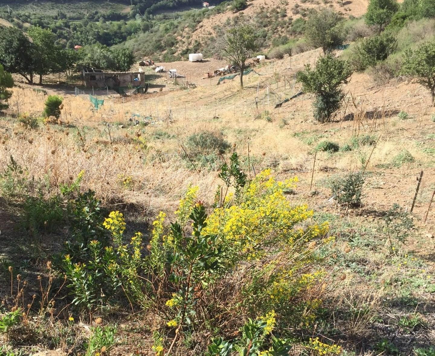 Allarme nitrati, Laore smentisce Copagri 