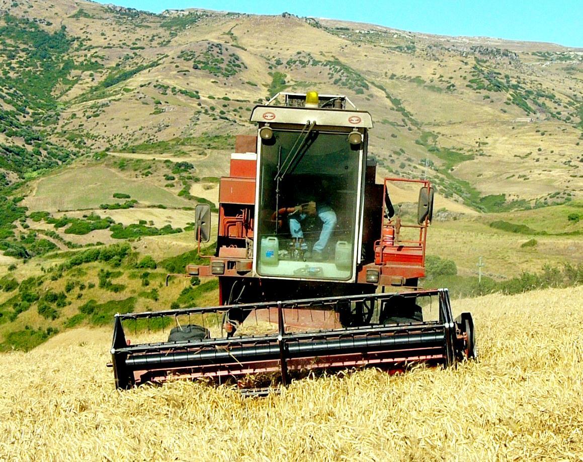 Imprese in crisi meno 13% in 10 anni 