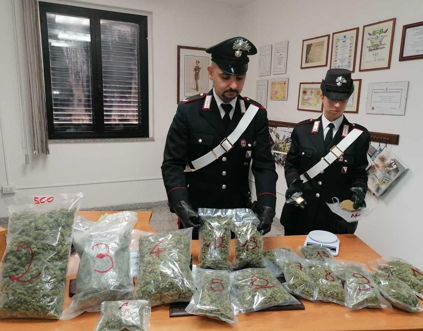 Tre chili di marijuana nascosti nell’ecocentro 
