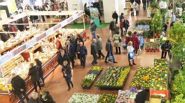 Numeri in crescita per Ferrara Fiere “Liberamente” va ma entra “Sealogy”