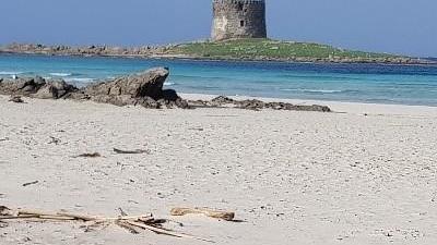 La tutela delle spiagge va allargata all’intero Golfo dell’Asinara