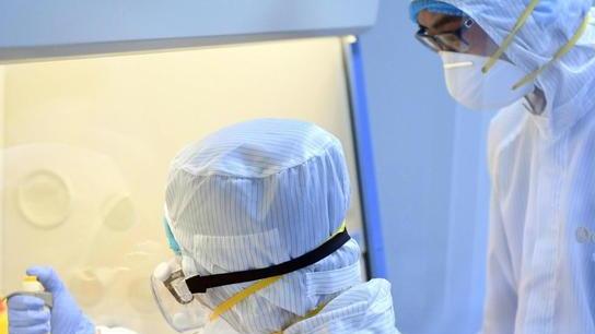 «Rischia di rompersi la filiera produttiva» Effetto Coronavirus nelle aziende lucchesi