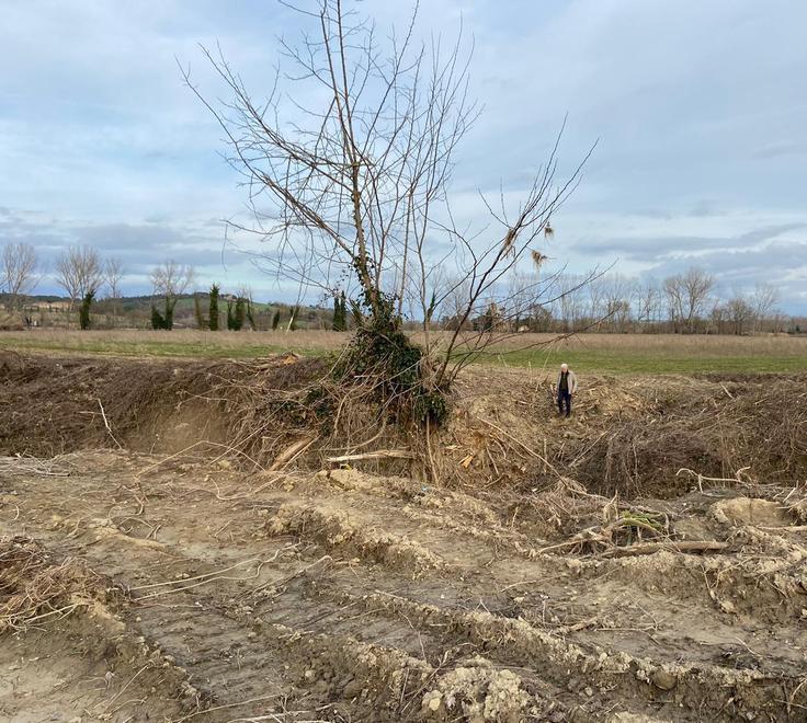 Wwf contro Regione e Consorzi «Stop all’assalto della vegetazione» 