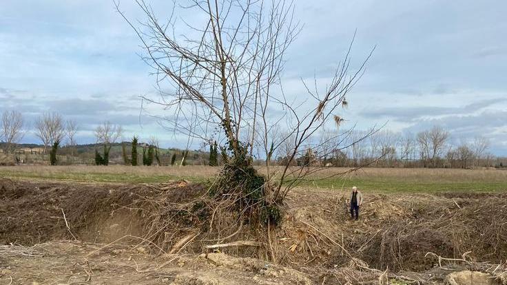 Wwf contro Regione e Consorzi «Stop all’assalto della vegetazione»