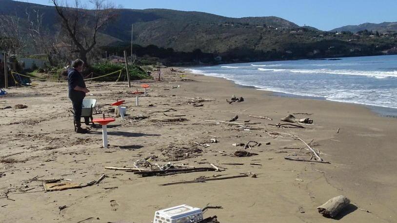 Puliamo la spiaggia Appuntamento domenica 15 marzo alla Giannella