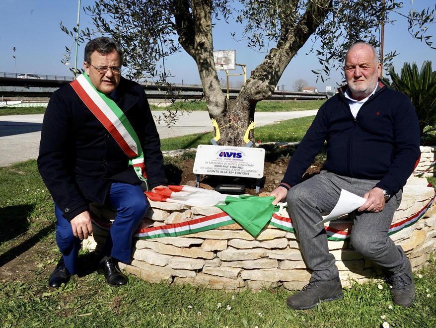 Installazione in ricordo dei donatori di sangue 