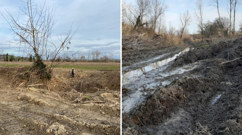 «Uno scempio i tagli di alberi lungo il Cecina» 