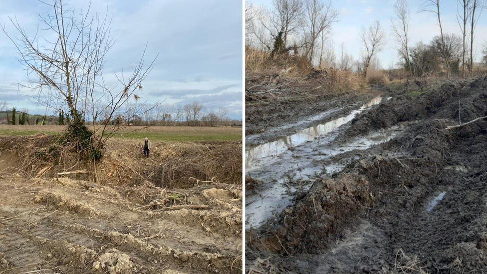 «Uno scempio i tagli di alberi lungo il Cecina»
