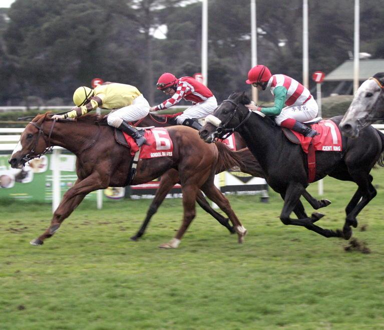 Riflettori su Barbaricina e Ribot Cup 
