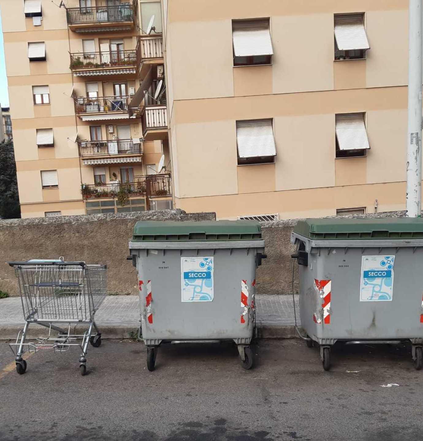 Il carrello della spesa abbandonato