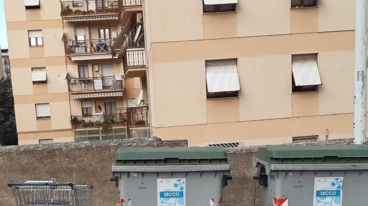Il carrello della spesa abbandonato