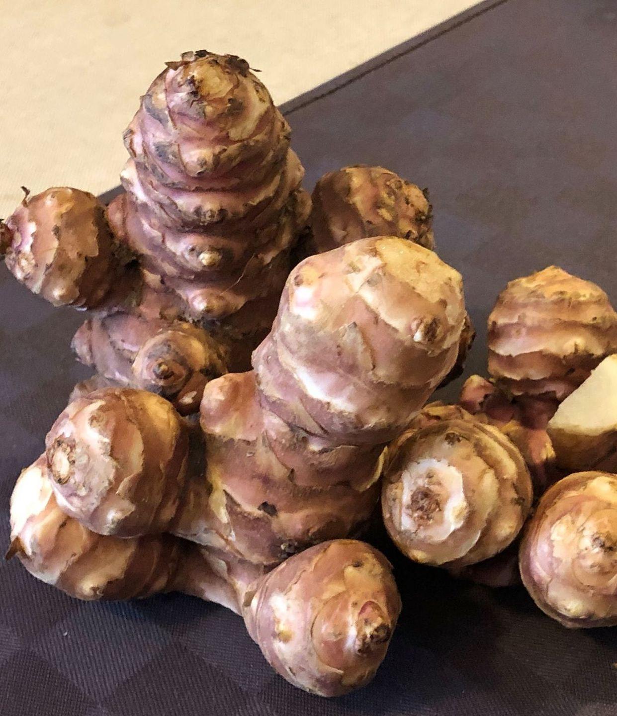 La sfida sarda del topinambur, il tubero che sa di carciofo 