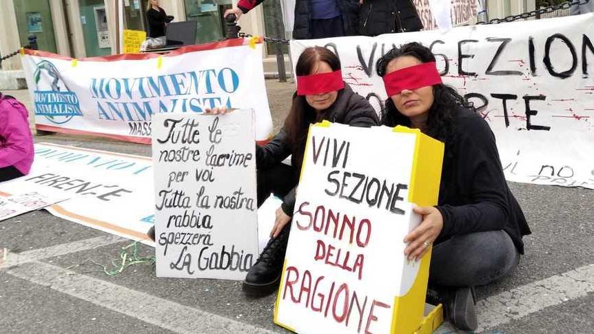 «No vivisezione» Flashmob di gemiti e lamenti in piazza
