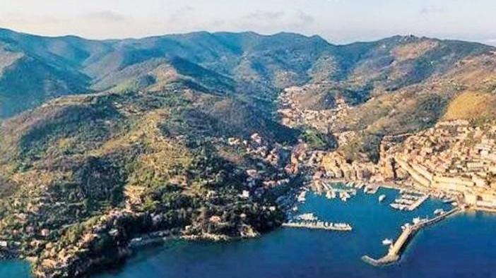 Tartarughe marine da tutelare Un incontro con gli studiosi