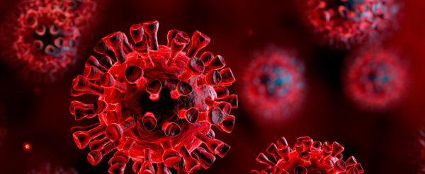 AGGIORNAMENTI  Positivi al Coronavirus e ricoverati due familiari del contagiato di Carpi 