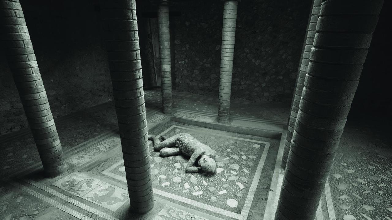 Modena. La mostra di Kenro Izu «Un percorso spirituale fatto di testimonianze»