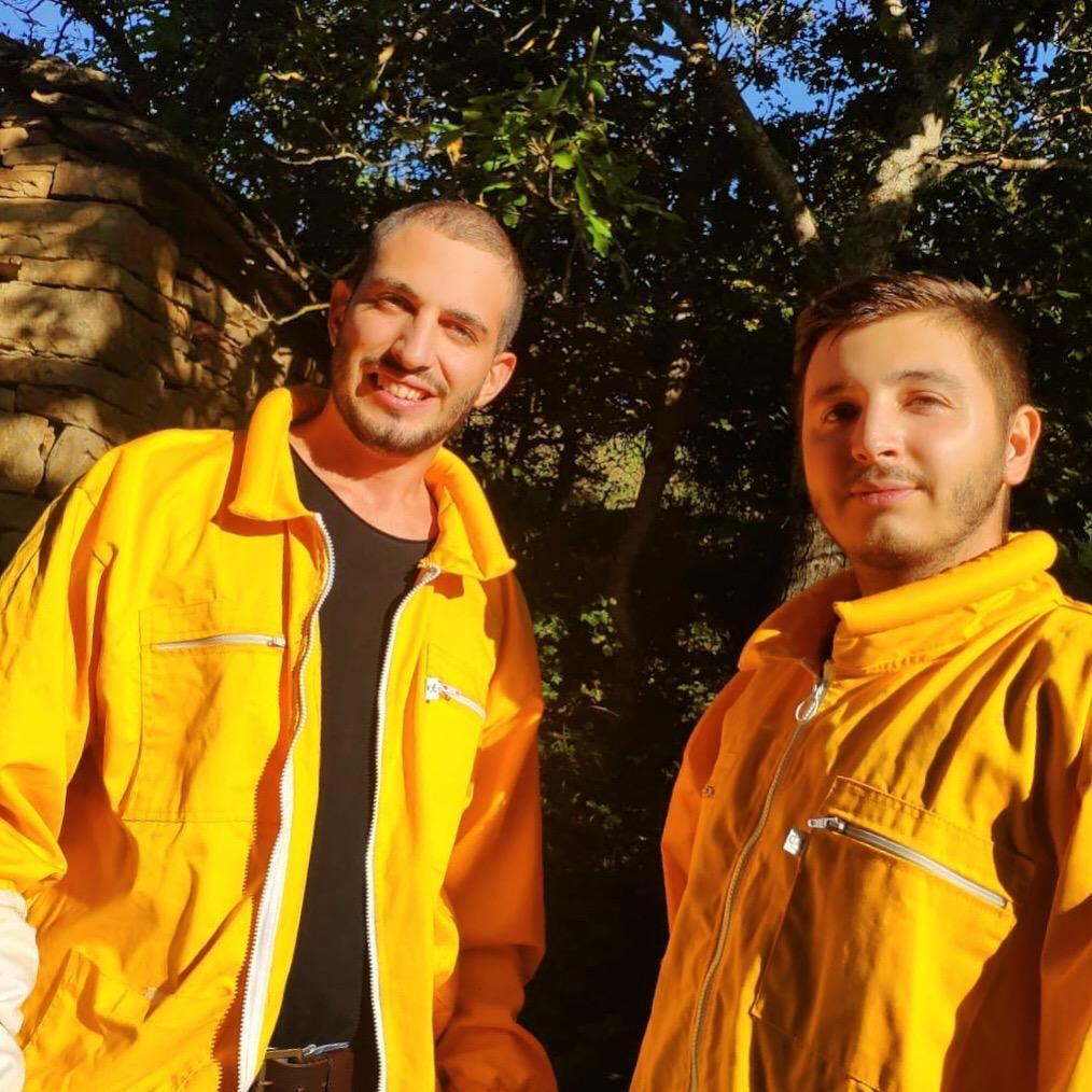 Modena. Nasce una pagina Instagram per salvare le api e il pianeta 